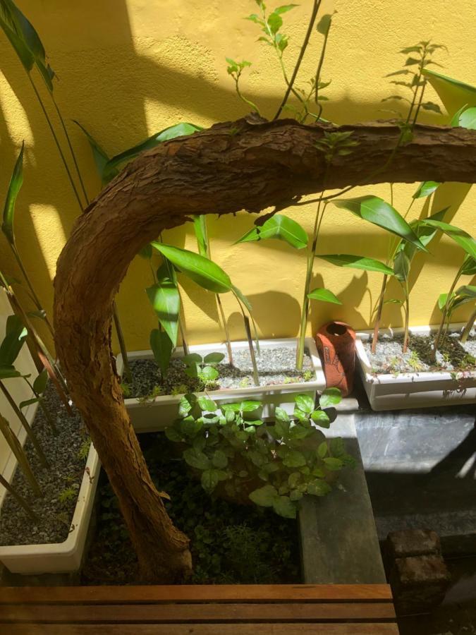Leranda Homestay Hue Exterior foto