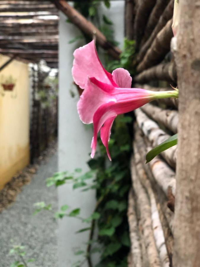 Leranda Homestay Hue Exterior foto